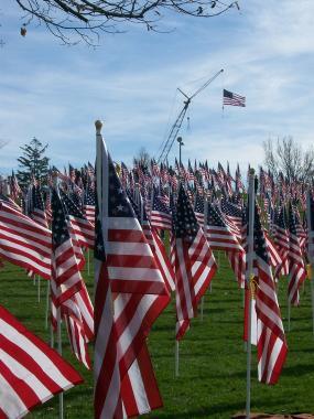 Veterans' Day Celebrated with Healing Field of Honor