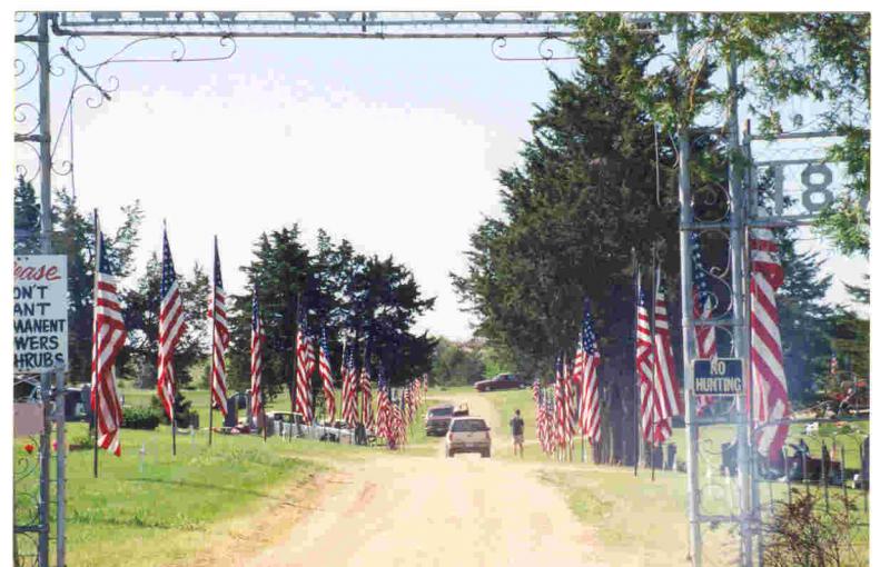 Flags At Cemetery 