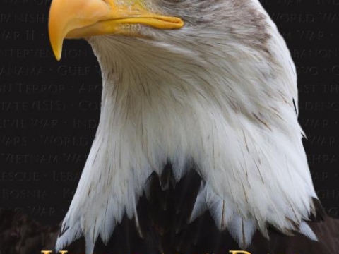 Veterans Day 2016