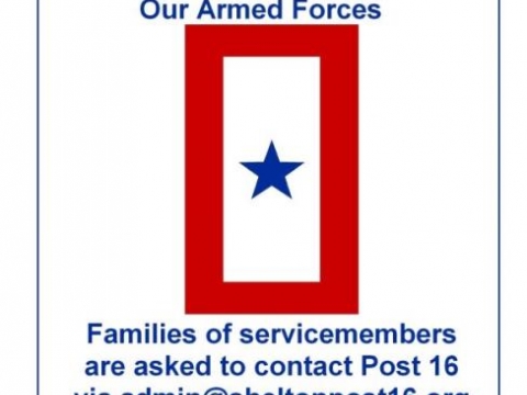 Blue Star Banner Presentation