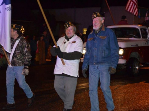 Night iof lights Parade 2015