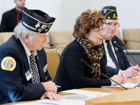 Adjutant Peters testifying to MN Senate on Sen Nelson's SF 419 bill