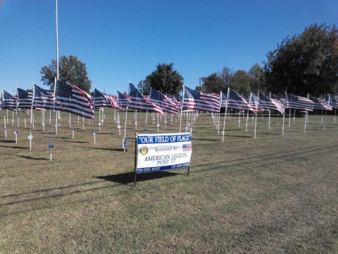 Our Field of Flags