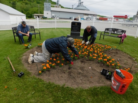 Planting the Gold Star Mother Garden