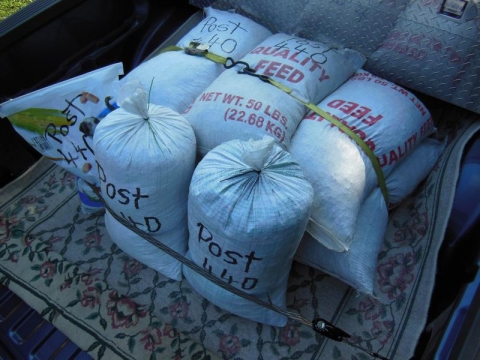 Pull tabs from 440 on the way to Raleigh