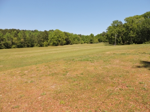 Post 1 Raleigh photos