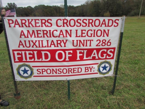 Field of Flags
