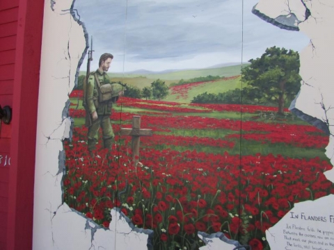 Murals painted by Heather Tabman (HeathersIllusions.com)