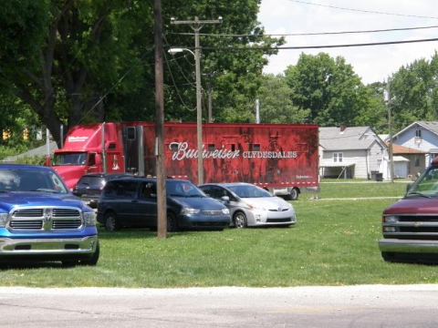 Budweiser Clydesdale Horses visit Post 64