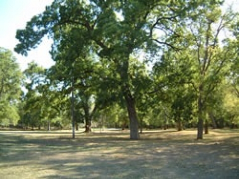 White Eagle Park