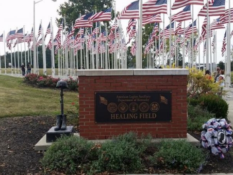 Healing Field
